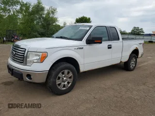 2012 Ford F-150 XL с VIN 1FTFX1EF3CFA03114, выставлен на аукционе Copart как лот 66458955 с пробегом 258 580 миль миль и Чистый • Clean title. История ставок и продаж доступна на DreamBid. Изображение 1.