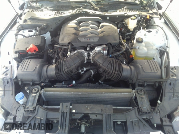 2024 Ford Mustang GT with VIN 1FA6P8CF5R5412439, listed as a IAAI auction lot 40215878 with Not provided miles and . Bid and sale history available at DreamBid. Image 10.