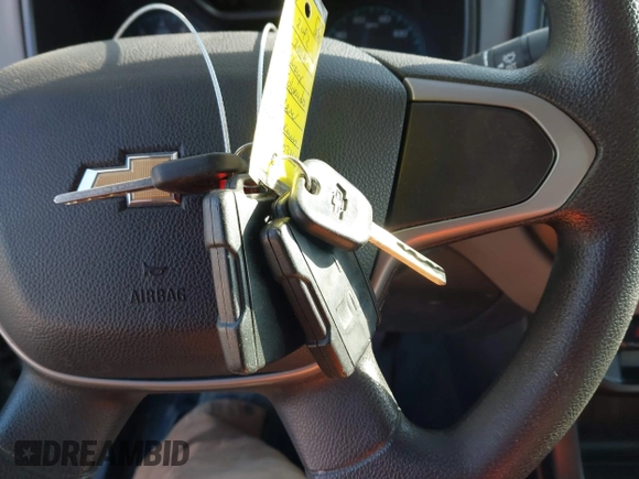 2016 Chevrolet Colorado 4WD WT with VIN 1GCGTBE39G1310334, listed as a IAAI auction lot 41109761 with 178,732 mi miles. Bid and sale history available at carsss.com. Image 11.