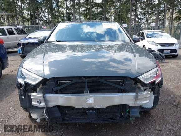 2017 Audi A3 Premium z VIN WAUAUGFF6H1044150, wystawiony jako IAAI lot #42002615 z przebiegiem 60 371 mil mil oraz . Historia ofert i sprzedaży dostępna na DreamBid. Obrazek 13.
