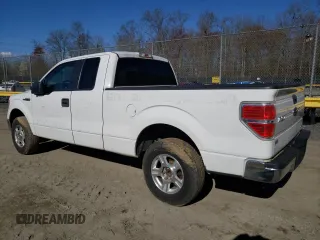 2013 Ford F-150 XL with VIN 1FTEX1CM5DFC07220, listed as a Copart auction lot 50754915 with 224,202 mi miles and Clean Title. Bid and sale history available at carsss.com. Image 2.