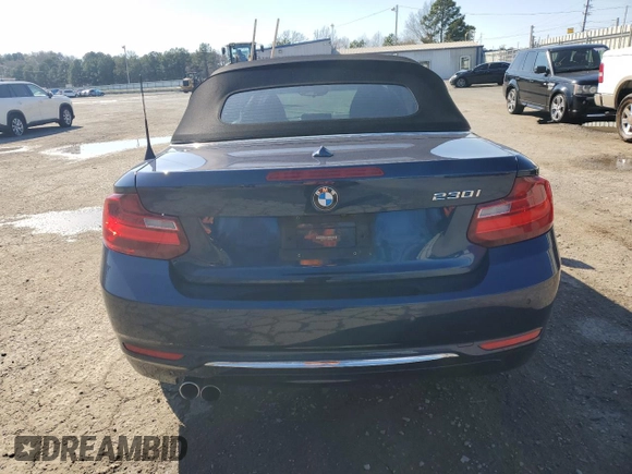 2017 BMW 2 Series 230i with VIN WBA2K9C39HV647568, listed as a Copart auction lot 43027895 with 51,258 mi miles and Salvage title. Bid and sale history available at DreamBid. Image 6.