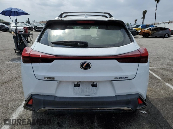 2019 Lexus UX with VIN JTHU9JBH0K2008427, listed as a Copart auction lot 48340753 with 45,867 mi miles. Bid and sale history available at carsss.com. Image 6.