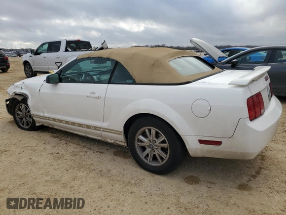 2006 Ford Mustang Standard with VIN 1ZVFT84N365149453, listed as a Copart auction lot 46847655 with 146,085 mi miles and Salvage Title. Bid and sale history available at carsss.com. Image 2.
