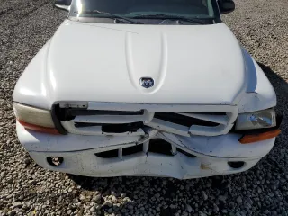 1999 Dodge Durango z VIN 1B4HS28Z6XF649205, wystawiony jako Copart lot #57683305 z przebiegiem 111 561 mil mil oraz Szkoda całkowita • Salvage title. Historia ofert i sprzedaży dostępna na DreamBid. Obrazek 11.