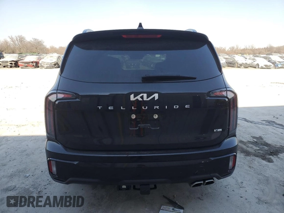 2024 Kia Telluride SX X-Line with VIN 5XYP5DGCXRG502514, listed as a Copart auction lot 48963985 with 20,560 mi miles and Salvage Title. Bid and sale history available at carsss.com. Image 6.