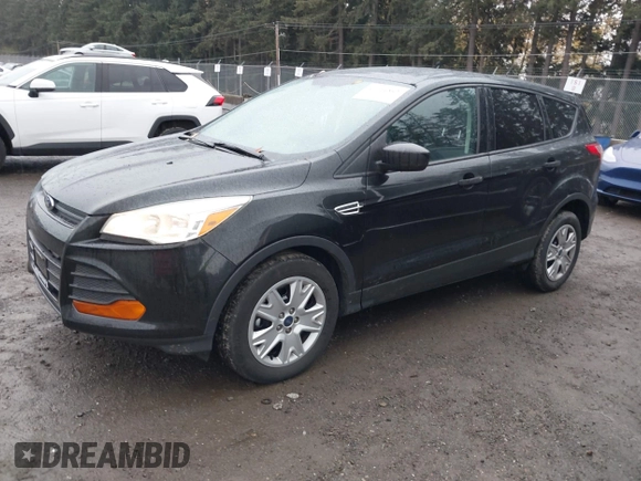 2014 Ford Escape S with VIN 1FMCU0F77EUB50320, listed as a IAAI auction lot 40744542 with 143,443 mi miles. Bid and sale history available at carsss.com. Image 2.