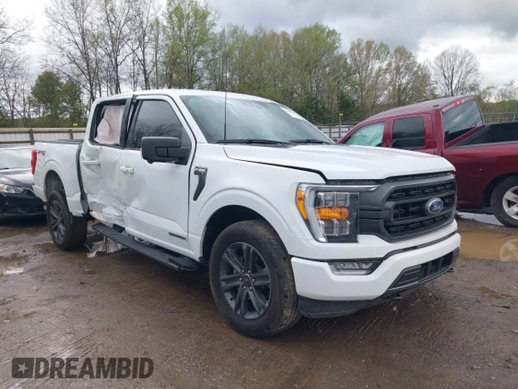 2023 Ford F-150 XL with VIN 1FTFW1ED8PFD06493, listed as a IAAI auction lot 42002427 with 31,147 mi miles and . Bid and sale history available at carsss.com. Image 1.