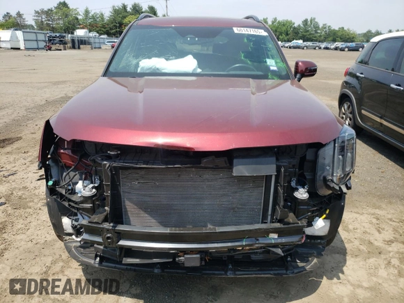 2023 Kia Telluride EX X-Line with VIN 5XYP3DGCXPG341343, listed as a Copart auction lot 60147165 with 29,990 mi miles and Salvage title. Bid and sale history available at DreamBid. Image 5.