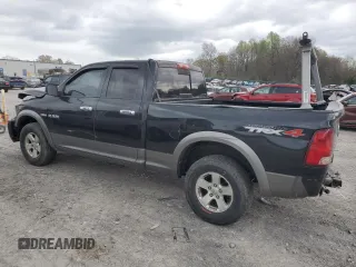 2010 Dodge 1500 TRX with VIN 1D7RV1GT3AS116223, listed as a Copart auction lot 51526625 with 238,258 mi miles and Clean Title. Bid and sale history available at carsss.com. Image 2.