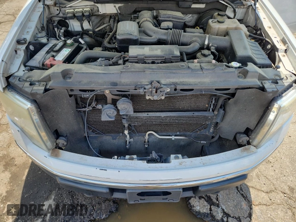 2009 Ford F-150 XL with VIN 1FTPX14V79FA01064, listed as a Copart auction lot 61351105 with 305,793 mi miles and Clean title. Bid and sale history available at DreamBid. Image 11.