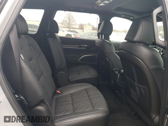 2024 Kia Telluride EX X-Line z VIN 5XYP3DGC0RG557043, wystawiony jako Copart lot #48745215 z przebiegiem 8 768 mil mil oraz Szkoda całkowita • Salvage title. Historia ofert i sprzedaży dostępna na DreamBid. Obrazek 11.