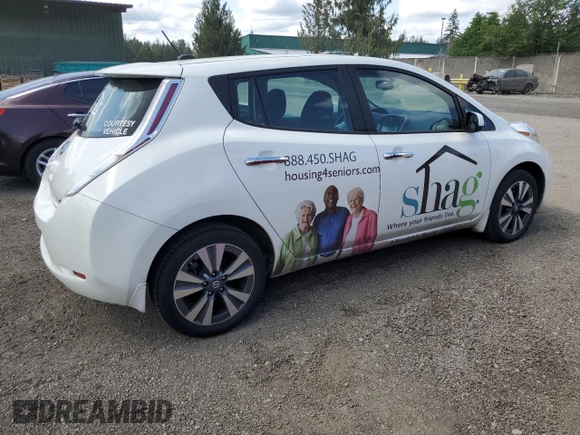 2016 Nissan LEAF S with VIN 1N4BZ0CP3GC307667, listed as a Copart auction lot 54147633 with 18,907 mi miles. Bid and sale history available at carsss.com. Image 3.
