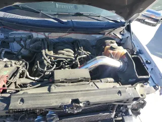 2013 Ford F-150 XL with VIN 1FTMF1CF2DFC41969, listed as a Copart auction lot 49729085 with 195,243 mi miles and Salvage title. Bid and sale history available at DreamBid. Image 12.