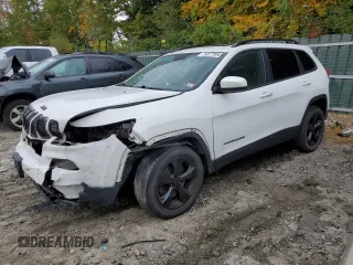 2017 Jeep Cherokee Limited with VIN 1C4PJMDS2HW569309, listed as a Copart auction lot 74177954 with 106,958 mi miles and Salvage title. Bid and sale history available at DreamBid. Image 1.