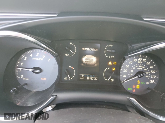 2019 Toyota Sequoia Limited with VIN 5TDJY5G18KS172799, listed as a Copart auction lot 47751605 with 29,122 mi miles and Salvage Title. Bid and sale history available at carsss.com. Image 9.