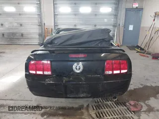 2005 Ford Mustang Deluxe with VIN 1ZVHT84N755243052, listed as a IAAI auction lot 41881137 with 109,366 mi miles and . Bid and sale history available at DreamBid. Image 16.