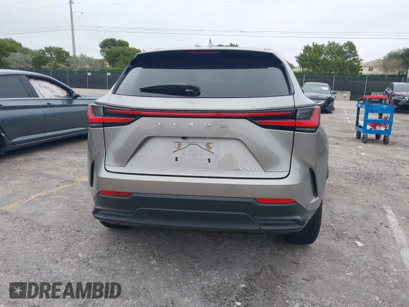 2024 Lexus NX 250 with VIN 2T2ADCAZ2RC014553, listed as a IAAI auction lot 41383564 with 8,403 mi miles and . Bid and sale history available at DreamBid. Image 15.