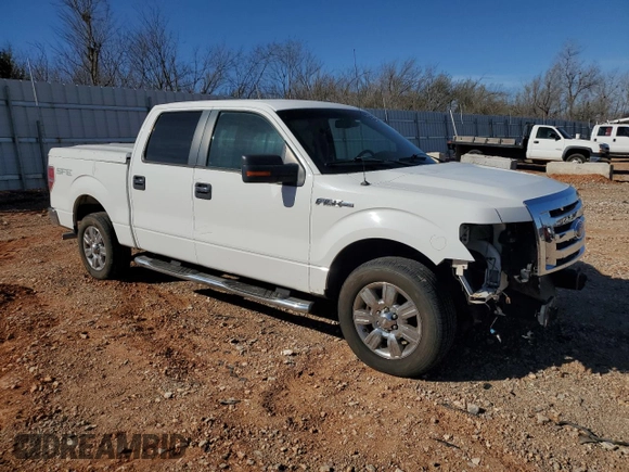 2009 Ford F-150 XL with VIN 1FTRW12869FA24540, listed as a Copart auction lot 49086015 with 184,310 mi miles and Salvage Title. Bid and sale history available at carsss.com. Image 4.