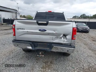 2016 Ford F-150 XLT with VIN 1FTEW1EF1GFB41139, listed as a IAAI auction lot 41867138 with 133,256 mi miles. Bid and sale history available at carsss.com. Image 16.