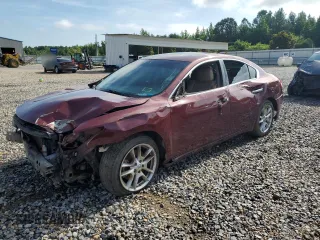 2010 Nissan Maxima SV with VIN 1N4AA5AP6AC819238, listed as a Copart auction lot 63213285 with Not provided miles and Salvage title. Bid and sale history available at DreamBid. Image 1.