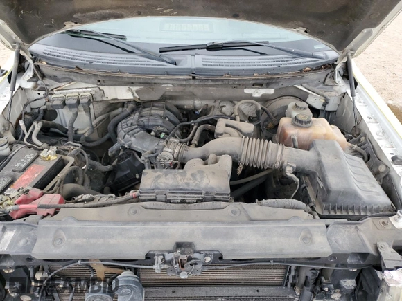 2013 Ford F-150 XL with VIN 1FTMF1CM4DKE06152, listed as a Copart auction lot 50077075 with 289,039 mi miles and Salvage Title. Bid and sale history available at carsss.com. Image 11.