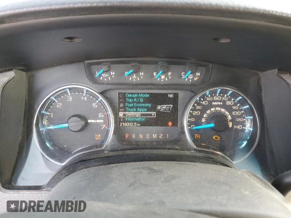 2013 Ford F-150 XL with VIN 1FTFW1ET6DKD97984, listed as a Copart auction lot 61098225 with 219,002 mi miles and Clean title. Bid and sale history available at DreamBid. Image 9.