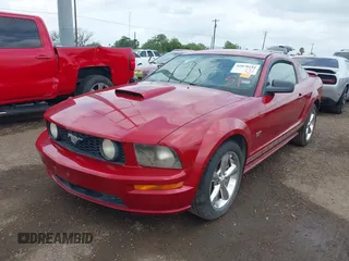 2008 Ford Mustang GT Deluxe with VIN 1ZVHT82H485105101, listed as a IAAI auction lot 42078194 with 142,313 mi miles and . Bid and sale history available at carsss.com. Image 6.