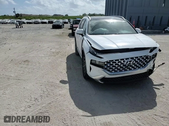 2022 Hyundai Santa Fe Limited with VIN 5NMS44AL2NH455808, listed as a Copart auction lot 45237285 with 51,255 mi miles and Salvage Title. Bid and sale history available at carsss.com. Image 12.
