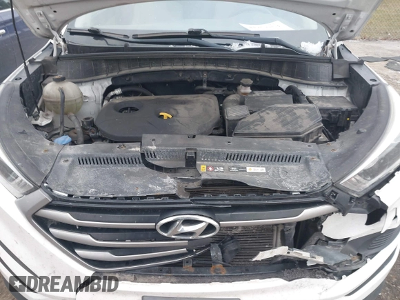 2017 Hyundai Tucson SE with VIN KM8J23A49HU297707, listed as a IAAI auction lot 41257353 with 164,687 mi miles. Bid and sale history available at carsss.com. Image 10.