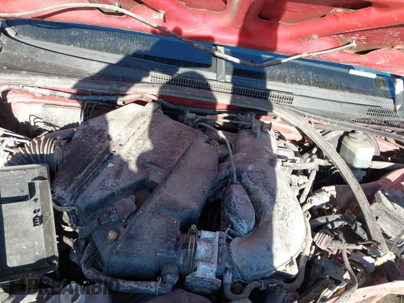 2008 Toyota Tacoma with VIN 5TEUU42N38Z556627, listed as a IAAI auction lot 41649284 with Not Provided miles and . Bid and sale history available at carsss.com. Image 10.