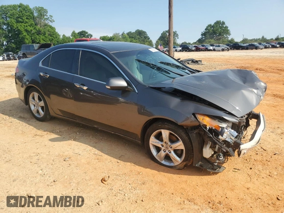 2010 Acura TSX with VIN JH4CU2F68AC027454, listed as a Copart auction lot 59365895 with 189,228 mi miles and Salvage title. Bid and sale history available at DreamBid. Image 4.