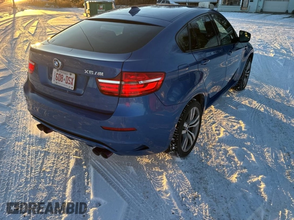 2013 BMW X6 M with VIN 5YMGZ0C57DLL29849, listed as a Copart auction lot 86665844 with 117,000 mi miles and Clean Title. Bid and sale history available at carsss.com. Image 4.