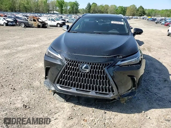 2024 Lexus NX 250 с VIN 2T2ADCAZ4RC009662, выставлен на аукционе Copart как лот 52331615 с пробегом 40 496 миль миль и Списание • Salvage title. История ставок и продаж доступна на DreamBid. Изображение 12.