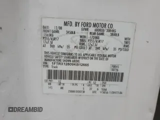 2009 Ford F-150 STX with VIN 1FTRX12809KB12665, listed as a Copart auction lot 42559065 with 300,074 mi miles and Salvage Title. Bid and sale history available at DreamBid. Image 12.