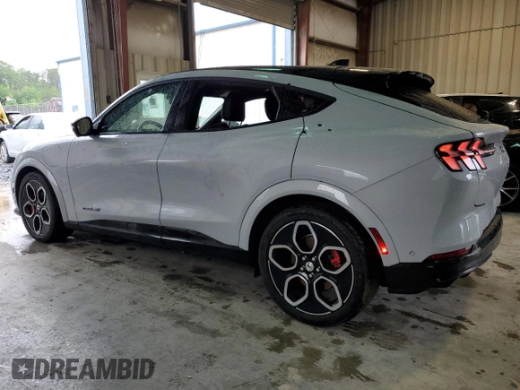 2022 Ford Mustang Mach-E GT with VIN 3FMTK4SEXNMA25284, listed as a Copart auction lot 56784195 with Not provided miles and Salvage title. Bid and sale history available at DreamBid. Image 2.