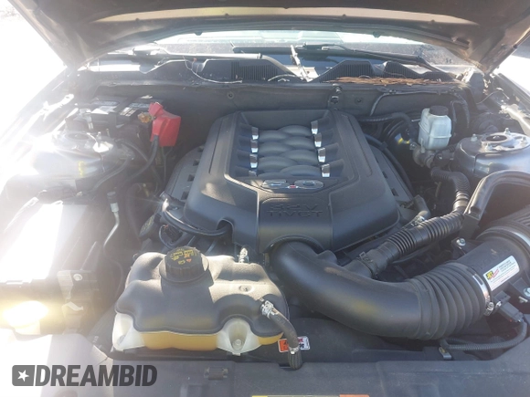 2014 Ford Mustang GT with VIN 1ZVBP8CF1E5206700, listed as a IAAI auction lot 41591289 with 118,769 mi miles and . Bid and sale history available at DreamBid. Image 10.