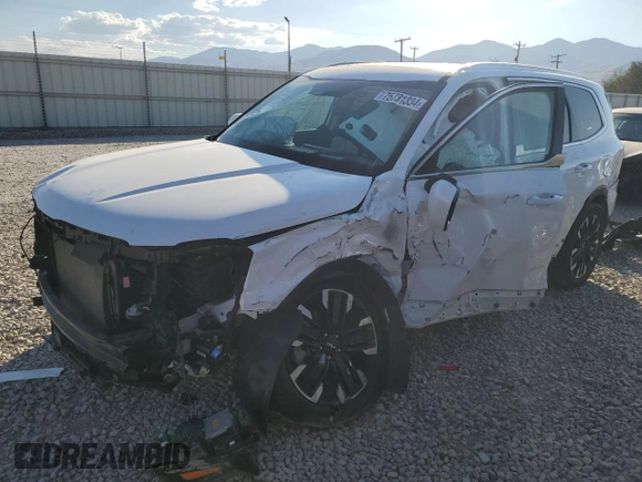 2023 Kia Telluride SX Prestige с VIN 5XYP5DGC6PG359719, выставлен на аукционе Copart как лот 75731334 с пробегом 26 072 миль миль и Списание • Salvage title. История ставок и продаж доступна на DreamBid. Изображение 1.