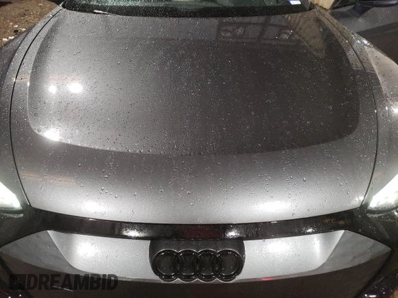 2023 Audi e-tron GT Premium Plus z VIN WAUCJBFW4P7000809, wystawiony jako Copart lot #41245544 z przebiegiem 8 839 mil mil oraz . Historia ofert i sprzedaży dostępna na DreamBid. Obrazek 11.