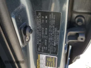 2009 Kia Rondo LX with VIN KNAFG528297271925, listed as a Copart auction lot 46342845 with 128,002 mi miles and Salvage Title. Bid and sale history available at carsss.com. Image 13.