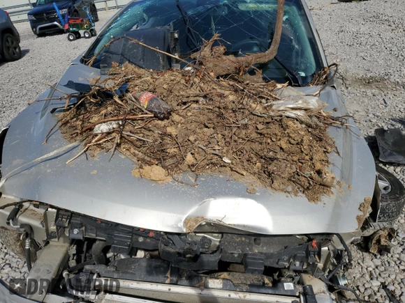2015 Chevrolet Malibu LT with VIN 1G11D5SL0FF198235, listed as a Copart auction lot 53811915 with Not Provided miles and Salvage Title. Bid and sale history available at DreamBid. Image 11.