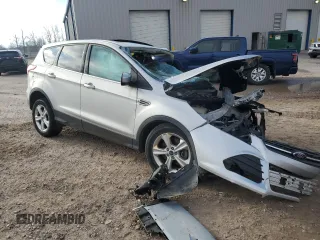 2014 Ford Escape SE with VIN 1FMCU9GX3EUD72937, listed as a Copart auction lot 53879405 with Not Provided miles and Non Repairable. Bid and sale history available at DreamBid. Image 4.