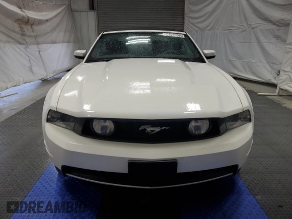 2011 Ford Mustang GT with VIN 1ZVBP8FF4B5155281, listed as a Copart auction lot 53156305 with 83,922 mi miles and Clean Title. Bid and sale history available at DreamBid. Image 5.