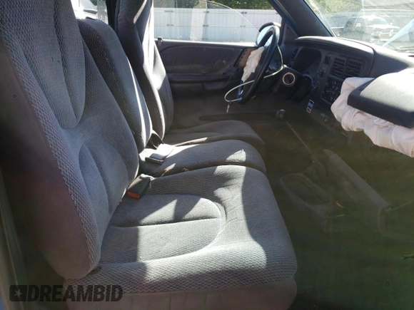 1999 Dodge Dakota SLT with VIN 1B7FL26X0XS298131, listed as a Copart auction lot 69590254 with 162,606 mi miles and Salvage Title. Bid and sale history available at carsss.com. Image 7.