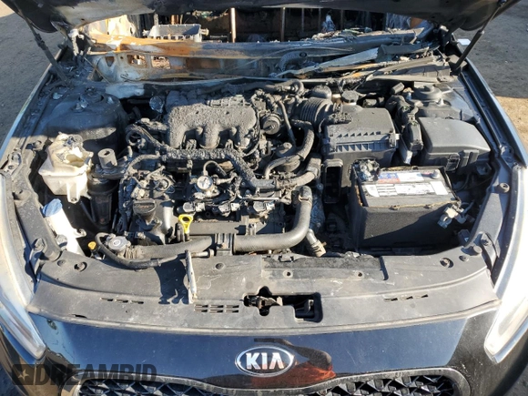 2014 Kia Cadenza Premium with VIN KNALN4D76E5131857, listed as a Copart auction lot 62322354 with Not Provided miles and Salvage Title. Bid and sale history available at carsss.com. Image 12.