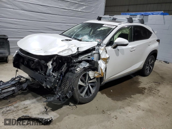 2018 Lexus NX 300 with VIN JTJBARBZ9J2152559, listed as a Copart auction lot 47088865 with 89,982 mi miles and Salvage title. Bid and sale history available at DreamBid. Image 1.