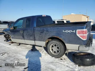 2010 Ford F-150 XL with VIN 1FTFX1EV5AFA07606, listed as a Copart auction lot 88846445 with 260,949 mi miles and Salvage Title. Bid and sale history available at carsss.com. Image 2.