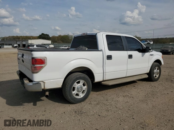 2010 Ford F-150 XL with VIN 1FTEW1C88AFA87575, listed as a Copart auction lot 51010135 with 190,599 mi miles and Clean Title. Bid and sale history available at carsss.com. Image 3.