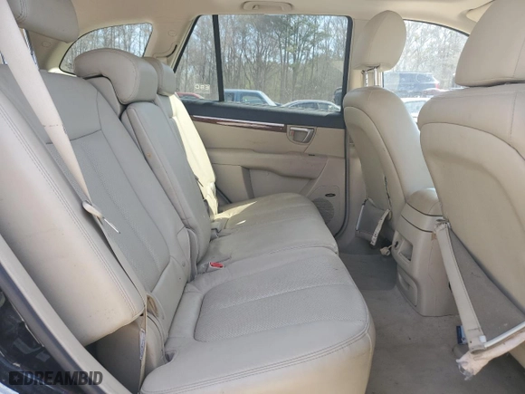 2009 Hyundai Santa Fe SE with VIN 5NMSH13E69H301612, listed as a Copart auction lot 49039005 with 214,882 mi miles and Salvage Title. Bid and sale history available at carsss.com. Image 11.