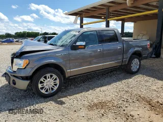 2009 Ford F-150 XL z VIN 1FTPW14V09FA97283, wystawiony jako Copart lot #58827865 z przebiegiem 174 567 mil mil oraz Szkoda całkowita • Salvage title. Historia ofert i sprzedaży dostępna na DreamBid. Obrazek 1.